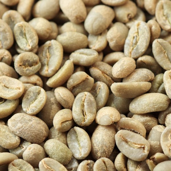 Organic Coffee Bean from 베트남 supplied by BIOVALLEY VIET NAM JOINT STOCK COMPANY - 신선 생원두