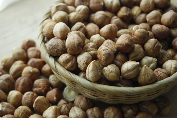 Hazelnut Kernels from 튀르키예 supplied by Nimeks Organik Tarım Ürün. San. Ve Tic. Ltd. Şti. - Unspecified 헤이즐넛 알맹이