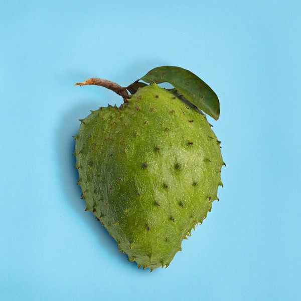 SOURSOP PULP from 에콰도르 supplied by Healthy Food Marcalman Ecuador SAS - Pulp 냉동 사워솝