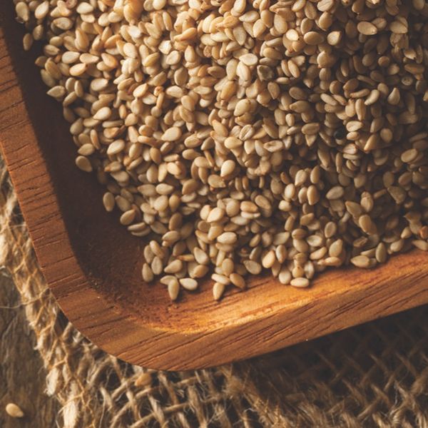 Sesame Seeds from Ivory Coast supplied by SAYAD TRADING COMPANY - Size: Regular Sesame Seed