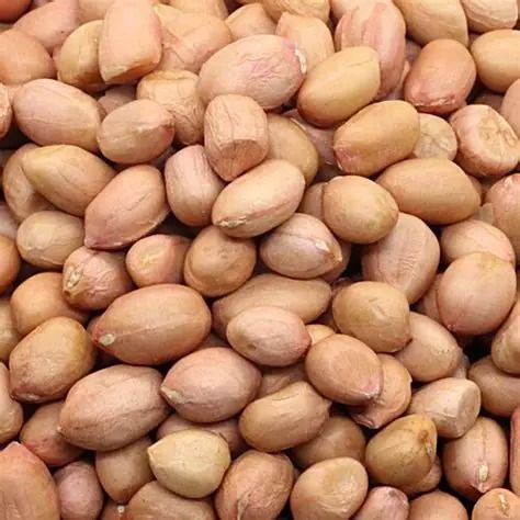 SHELLED PEANUT from 나이지리아 supplied by GUM ARABIC COMPANY NIGERIA - 원물 생땅콩