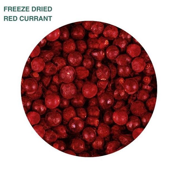 Freeze Dried Red Currant (Whole) from 이탈리아 supplied by OPI FRUTTA - 원물 및 고르지 않은 크기 기타 말린 과일