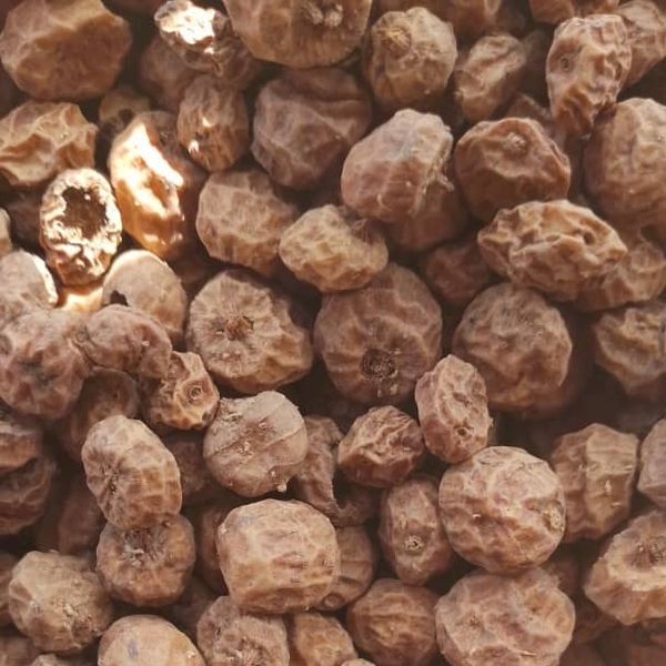 Tiger nuts from Nigeria supplied by Jasam Nigeria Ltd - Other Dried Fruits
