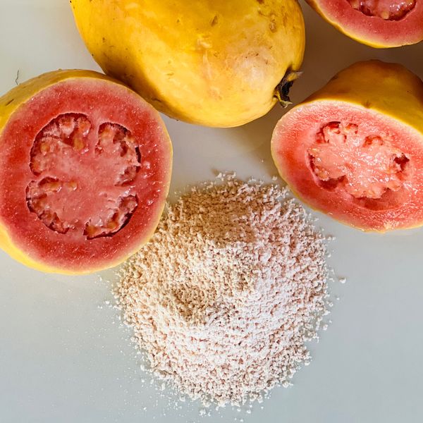 Guava Powder from 에콰도르 supplied by DLIP Industrial - SD (Spray Drying) 말린 구아바