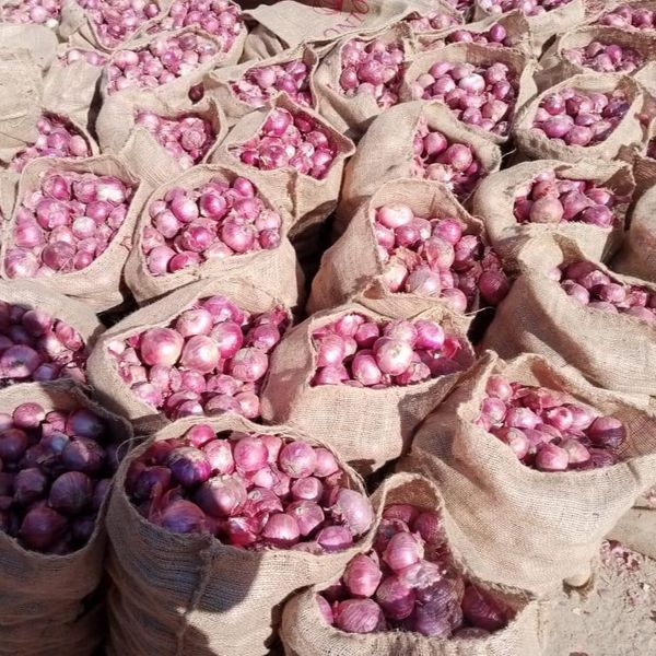 Onion from Pakistan supplied by Paradigm Trader & Estate - Size: <45 mm (=Less than 45 mm) Fresh Onion