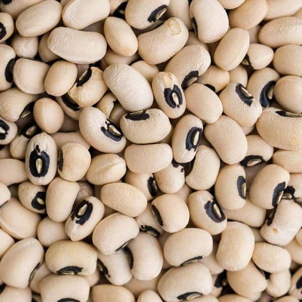 Black-Eye Beans from Ghana supplied by Sommalife - Dried (=Dehydrated) White Beans