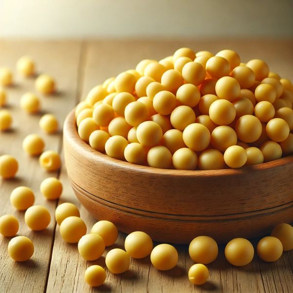 Yellow Pea from 미얀마 [버마] supplied by Myanmar Agricultural Corporation - 말린 일반 콩