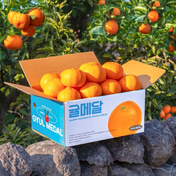 Cheonhyehyang (Jeju Citrus Fruit) from 대한민국 supplied by 주식회사 귤메달 농업회사법인 - 씨 없음 신선 만다린