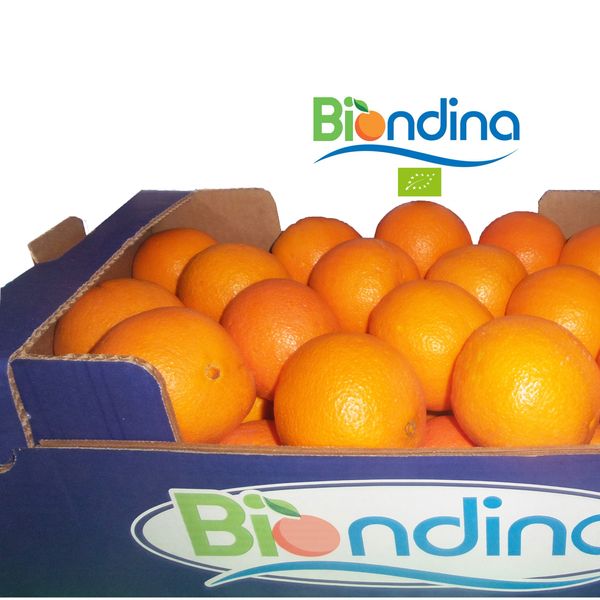 Arance Navel Biologica from Italy supplied by l'arcobaleno sca - Navel - Washington Navel (=Bahia) Fresh Orange