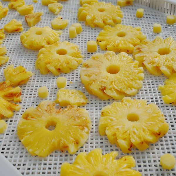 Organic Dried Pineapple from 베트남 supplied by BIOVALLEY VIET NAM JOINT STOCK COMPANY - Queen (=Common Rough) 말린 파인애플