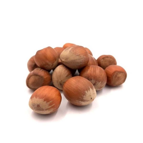 Hazelnuts in Shell Nebrodi (Sicily) Raw Caliber 19+ BAG OF 5 KG from 이탈리아 supplied by Omnia Group Srl - Dried 헤이즐넛 알맹이