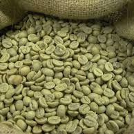 Raw Coffee Beans (Robusta) from 가나 supplied by NUTRAGLOBE LTD - 스크린 14/15 생원두
