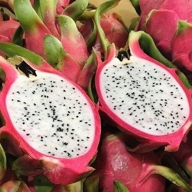 Fresh white dragon fruit from 베트남 supplied by AGRIHUB - Size: 7 신선 용과