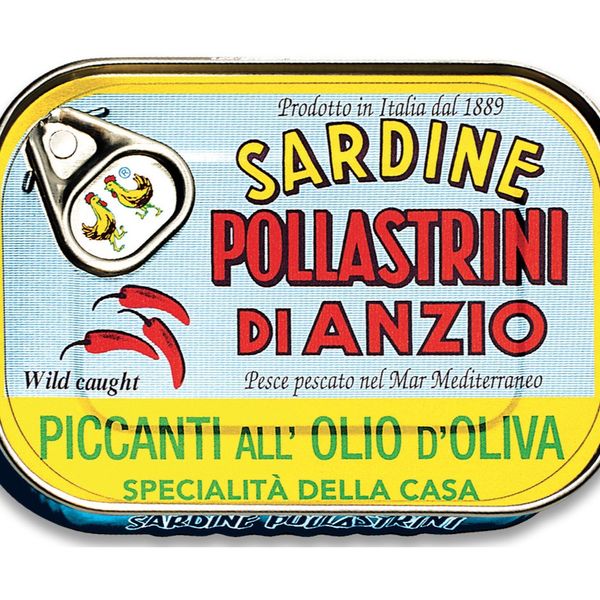 Sardine piccanti all'olio di oliva from 이탈리아 supplied by Sardine Pollastrini Srl - HGT(=머리, 내장 및 꼬리 제거) 정어리 가공품