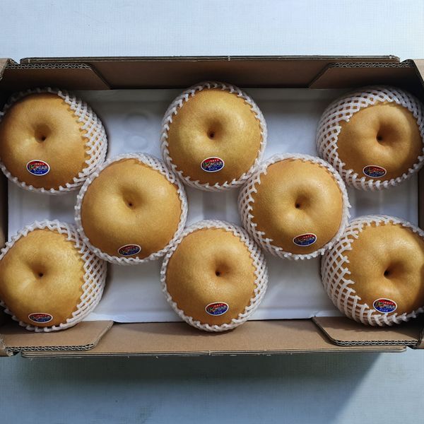 Najupear from South Korea supplied by Naju Pear Agricultural Cooperative Association - Carton Box - Open Top Fresh Pear
