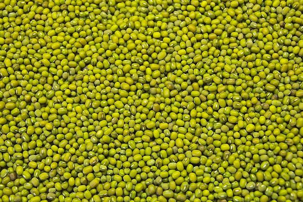Green Mung Beans from 인도 supplied by Asian Tea and Exports Ltd. - 말린 녹두