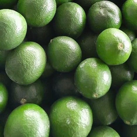 Fresh Lime from 베트남 supplied by TILI Trading Service Company Limited - 신선 신선 라임