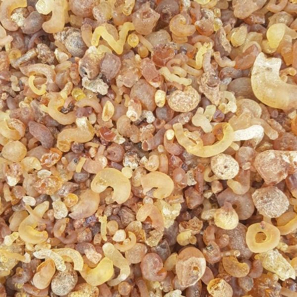 GUM ARABIC GRADE 3 from Nigeria supplied by GUM ARABIC COMPANY NIGERIA - Arabic Gum