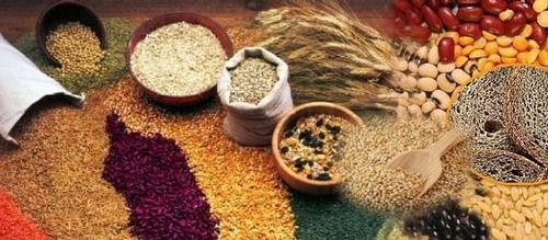 Grain from Australia supplied by Antap International Pty Ltd - Other Pea & Pulse