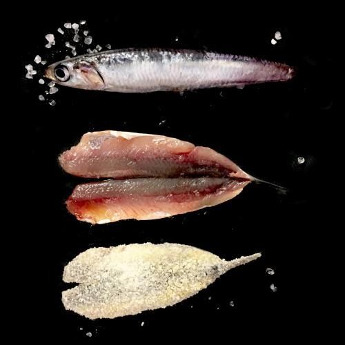 Fish Preparation - Frozen Breaded Anchovy from 이탈리아 supplied by ALIFOOD SRL - 냉동 멸치