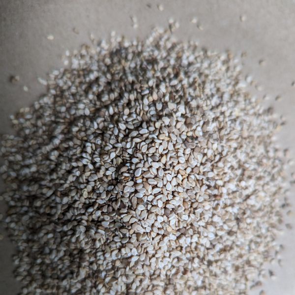 Sesame Seeds from 탄자니아 supplied by AFRICA AGRICULTURE EXPORTERS (AAE) - 생 참깨