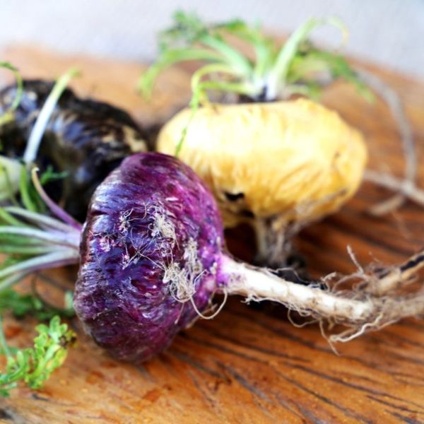 Peruvian Maca Extract from 페루 supplied by Nunalabs - Organic 마카