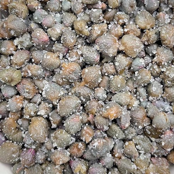 Capers of Salina in sea salt small size from 이탈리아 supplied by Agriturismo Al Cappero - Salted 케이퍼