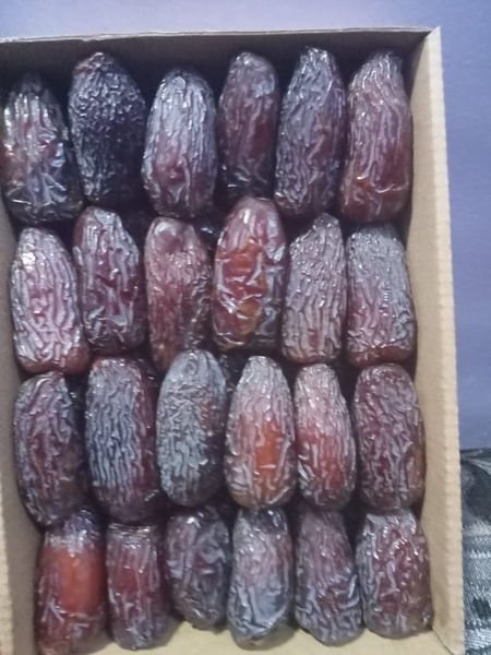 Mejdoul Dates Finest quality from 이집트 supplied by Marryat and Scott for General Trade - Fresh (=Chilled) 신선 대추야자