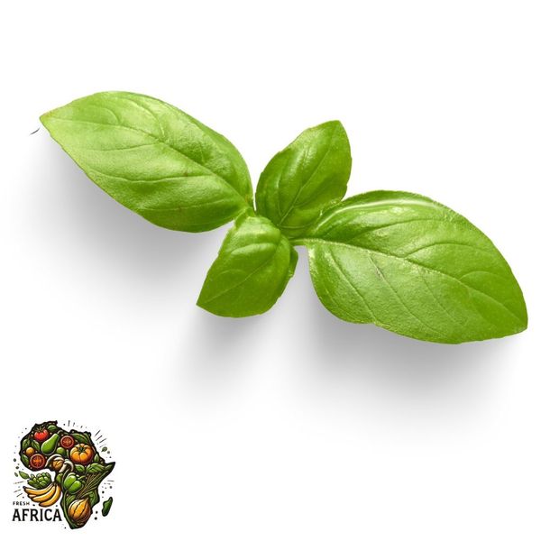 Basil from Kenya supplied by GOTFruit - Stem Aromatic Herbs