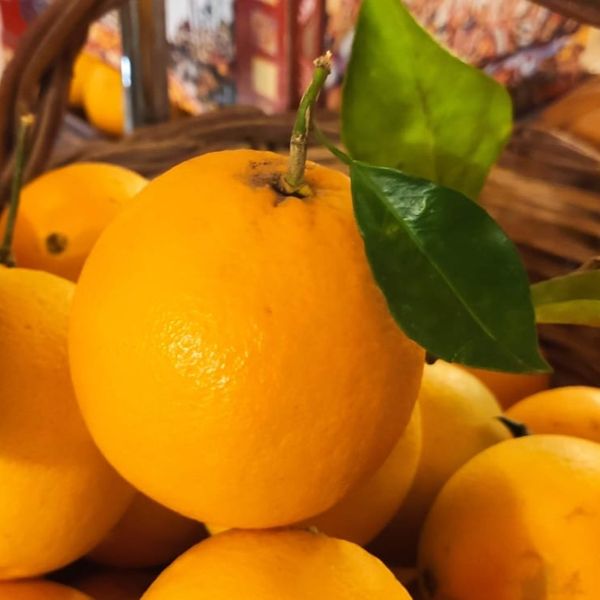 Il Giardino del Sole from Italy supplied by Il Giardino del Sole - Greenhouse Fresh Orange