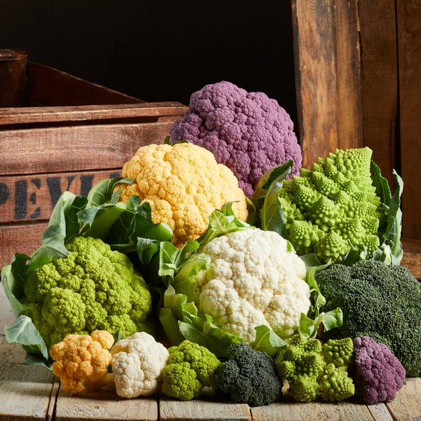 Brassica (Broccoli and Cauliflower) from Italy supplied by PEVIANI SPA - Fresh Cauliflower
