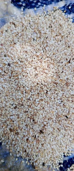 Sesame seed and ginger from 나이지리아 supplied by TCH Solutions Nigeria limited - Excellent Quality 혼합 향신료 상품