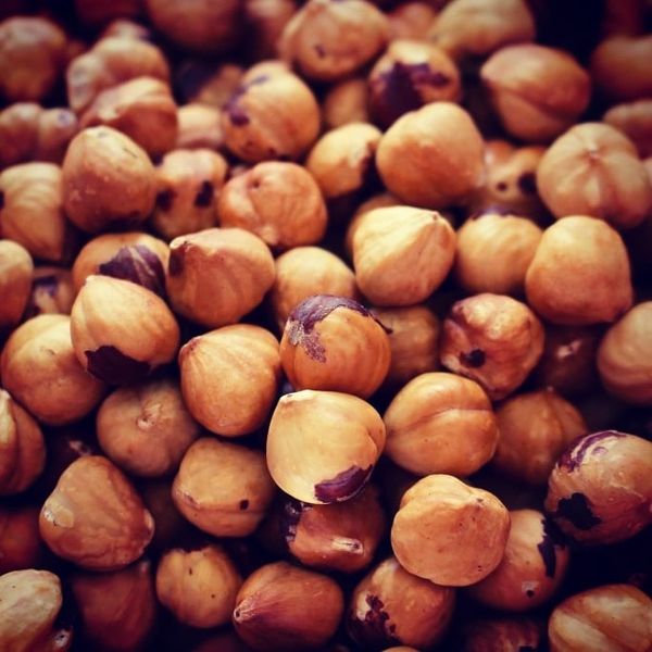 Roasted Hazelnuts from Italy supplied by nuttyplus srl - Bags Hazelnut Kernel
