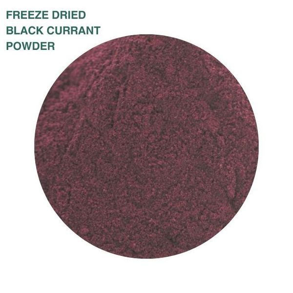 Freeze Dried Black Currant Powder from 이탈리아 supplied by OPI FRUTTA - 크러시드 기타 말린 과일