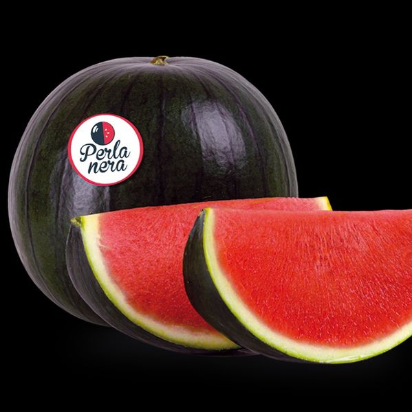 Seedless Medium-size watermelon from 이탈리아 supplied by PEVIANI SPA - 신선 수박