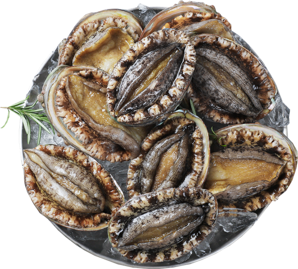 Live Abalone from 대한민국 supplied by Chungsan Fishermen's Organization - Processed 신선 전복