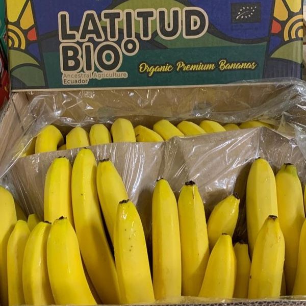 Banana Orgánica Certificada (Europa, Usa, Canadá, Japón, China, Ecuador) from Ecuador supplied by Latbio - Carton Box (18.14kg) (=Cardboard Box) Fresh Banana