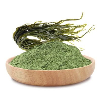 Kelp powder from Vietnam supplied by AGRIHUB - High Quality Instant Powder Drink