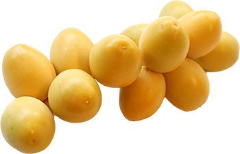 Barhi Date from 나미비아 supplied by Desert Fruit - Barhi 대추 가공품