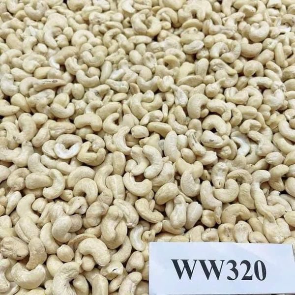 Cashew Nuts from 나이지리아 supplied by AfriVirgin Ltd - Size: 240 캐슈너트 알맹이