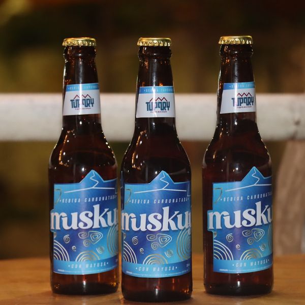 🫧 Muskuy – Sparkling Guayusa Beverage - alcohol free from 에콰도르 supplied by Asociación Ruku Kawsay PPKR - 기타 무알코올 음료