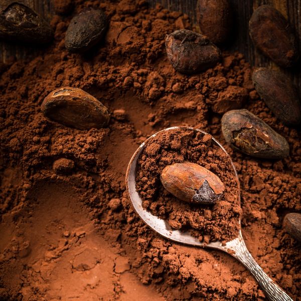Cocoa from 코트디부아르 supplied by SAYAD TRADING COMPANY - Dark Chocolate 코코아 파우더