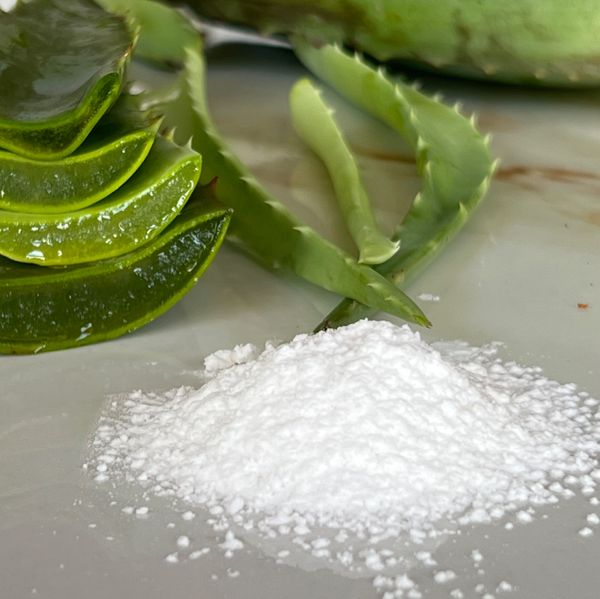 Aloe Vera Powder from 에콰도르 supplied by DLIP Industrial - Dried - SD (Spray Drying) 알로에베라