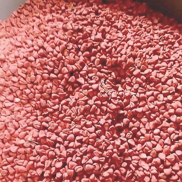 Annatto from 코트디부아르 supplied by SAYAD TRADING COMPANY - 아나토