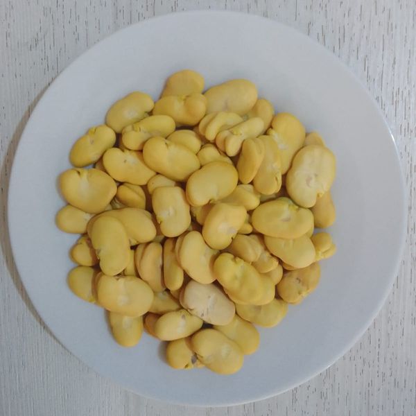 Fava Beans // Dried Broad Bean from 페루 supplied by Consorcio Huasi Alto Andino - 최대 14% 말린 브로드빈