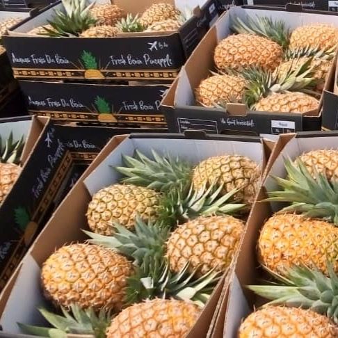 pineapple from 베냉 supplied by Kodra-Export - 크기: 9-10 신선 파인애플