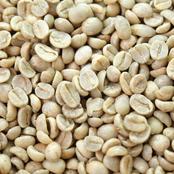 Specialty Honey S16 with flavorful taste and highly rated from 베트남 supplied by Detech Coffee Joint Stock Company - Vietnam Grade - Grade 1:  0.1 % of black, 0,5% of broken seeds 생원두