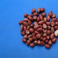 Amendoim from 브라질 supplied by Future Grains - Vacuum Bags (25 kg) 땅콩 알맹이