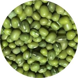Green mung beans from 우즈베키스탄 supplied by SIRDARYA BEANS EXPORT - Sortex 말린 녹두