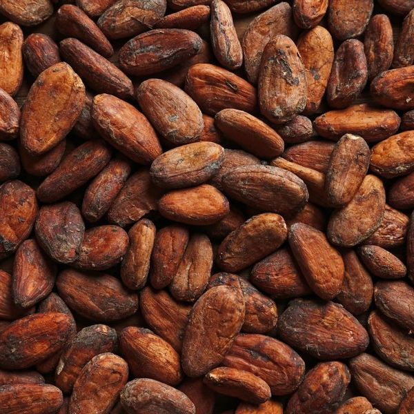 Cocoa beans from Nigeria supplied by Forthbridge Agro - Whole Cocoa Bean